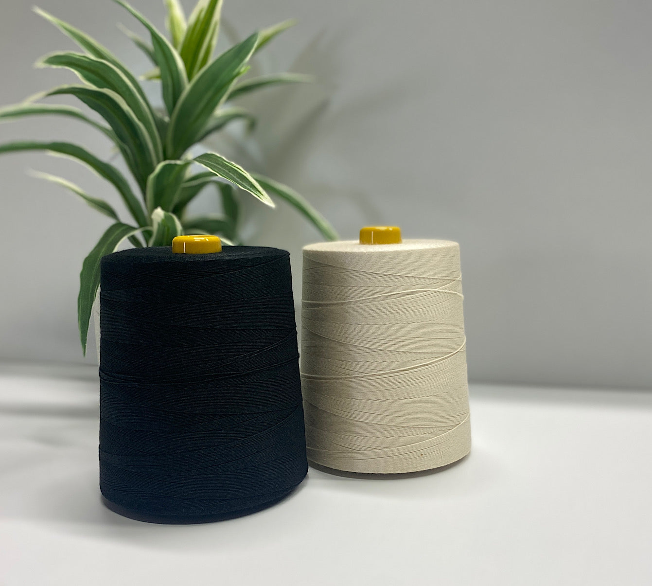 マミーズ　こあ Amazon.com: HONEY JOY 6 Pcs Stackable Daycare Cots for Kids, 53”L